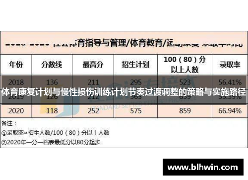 体育康复计划与慢性损伤训练计划节奏过渡调整的策略与实施路径