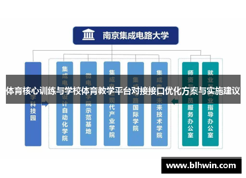 体育核心训练与学校体育教学平台对接接口优化方案与实施建议
